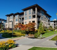 larkspur house