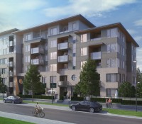 pine-house2-e1469209876416