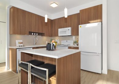 Two Bedroom Suite Kitchen