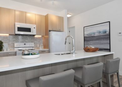 Three Bedroom Suite Kitchen