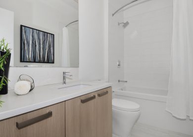 Three Bedroom Suite Bathroom